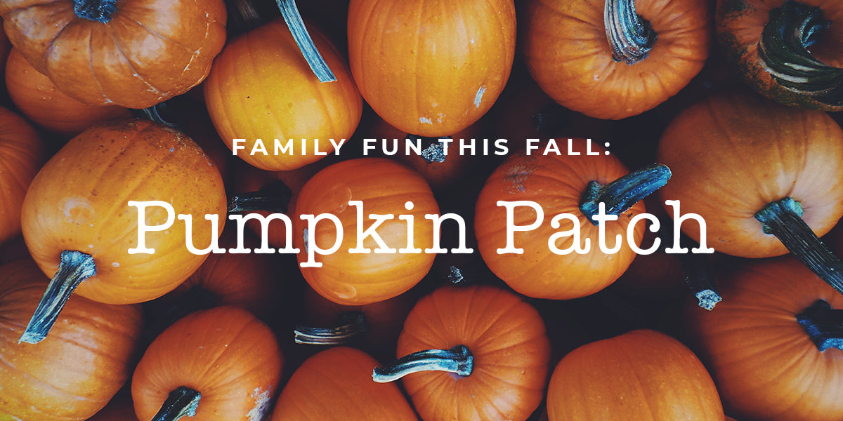 Family Fun: Pumpkin Patch