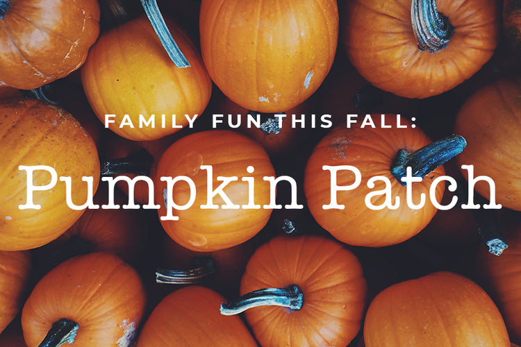 Family Fun: Pumpkin Patch