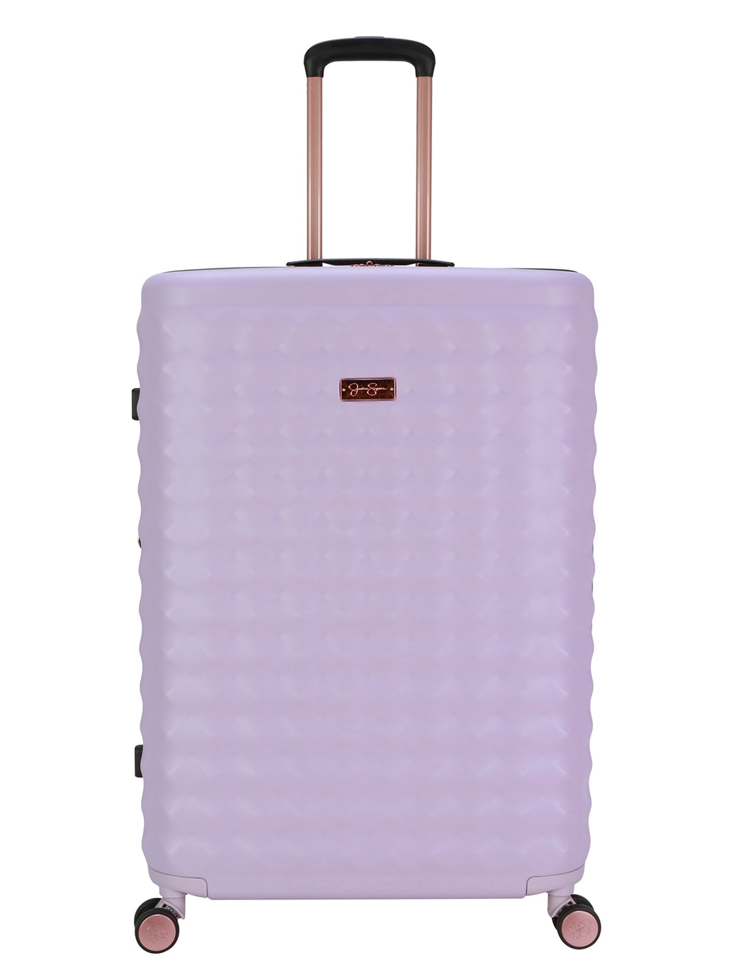 Vibrance Luggage Collection in Lavender Frost