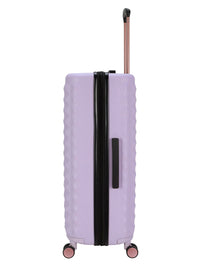 Vibrance Luggage Collection in Lavender Frost